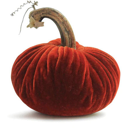 Plush Pumpkin